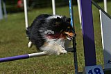 Canis zaterdag