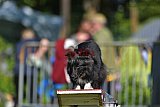 Canis zaterdag