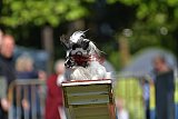 Canis zaterdag