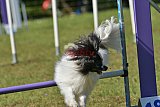 Canis zaterdag