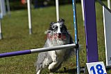 Canis zaterdag