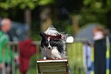 Canis zaterdag