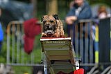 Canis zaterdag