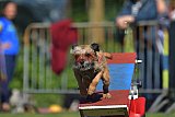 Canis zaterdag