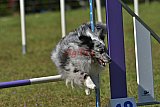 Canis zaterdag