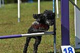 Canis zaterdag