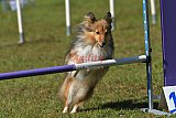 Canis zaterdag