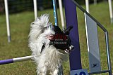 Canis zaterdag