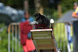 Canis zaterdag