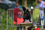Canis zaterdag