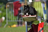 Canis zaterdag