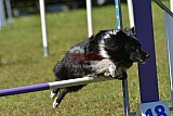 Canis zaterdag