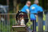 Canis zaterdag