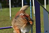 Canis zaterdag