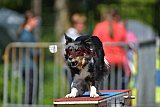 Canis zaterdag