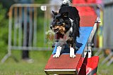 Canis zaterdag