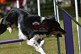 Canis zaterdag