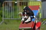 Canis zaterdag