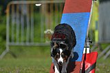 Canis zaterdag