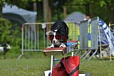 Canis zaterdag