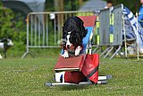 Canis zaterdag