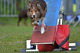 Canis zaterdag