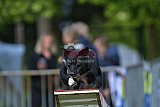 Canis zaterdag
