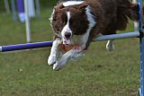 Canis zaterdag