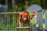 Canis zaterdag
