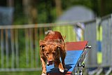 Canis zaterdag