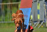 Canis zaterdag