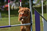 Canis zaterdag