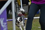 Canis zaterdag