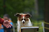 Canis zaterdag