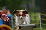 Canis zaterdag