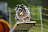 Canis zaterdag
