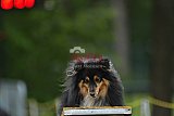 Canis zaterdag