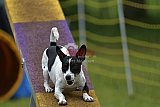 Canis zaterdag