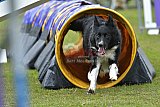 Canis zaterdag