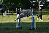 Canis zaterdag