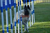 Canis zaterdag