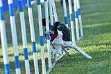 Canis zaterdag