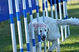 Canis zaterdag