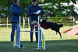 Canis zaterdag