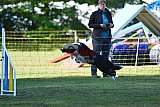 Canis zaterdag