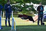 Canis zaterdag