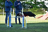 Canis zaterdag
