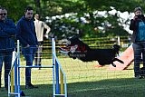 Canis zaterdag