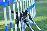 Canis zaterdag