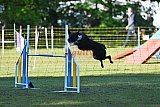 Canis zaterdag